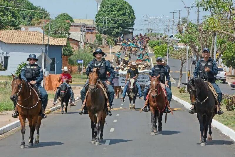 Imagem de compartilhamento para o artigo Com grande procura, 100 exames gratuitos para cavalos esgotam e inscrição para Cavalgada continua aberta em Figueirão da MS Todo dia